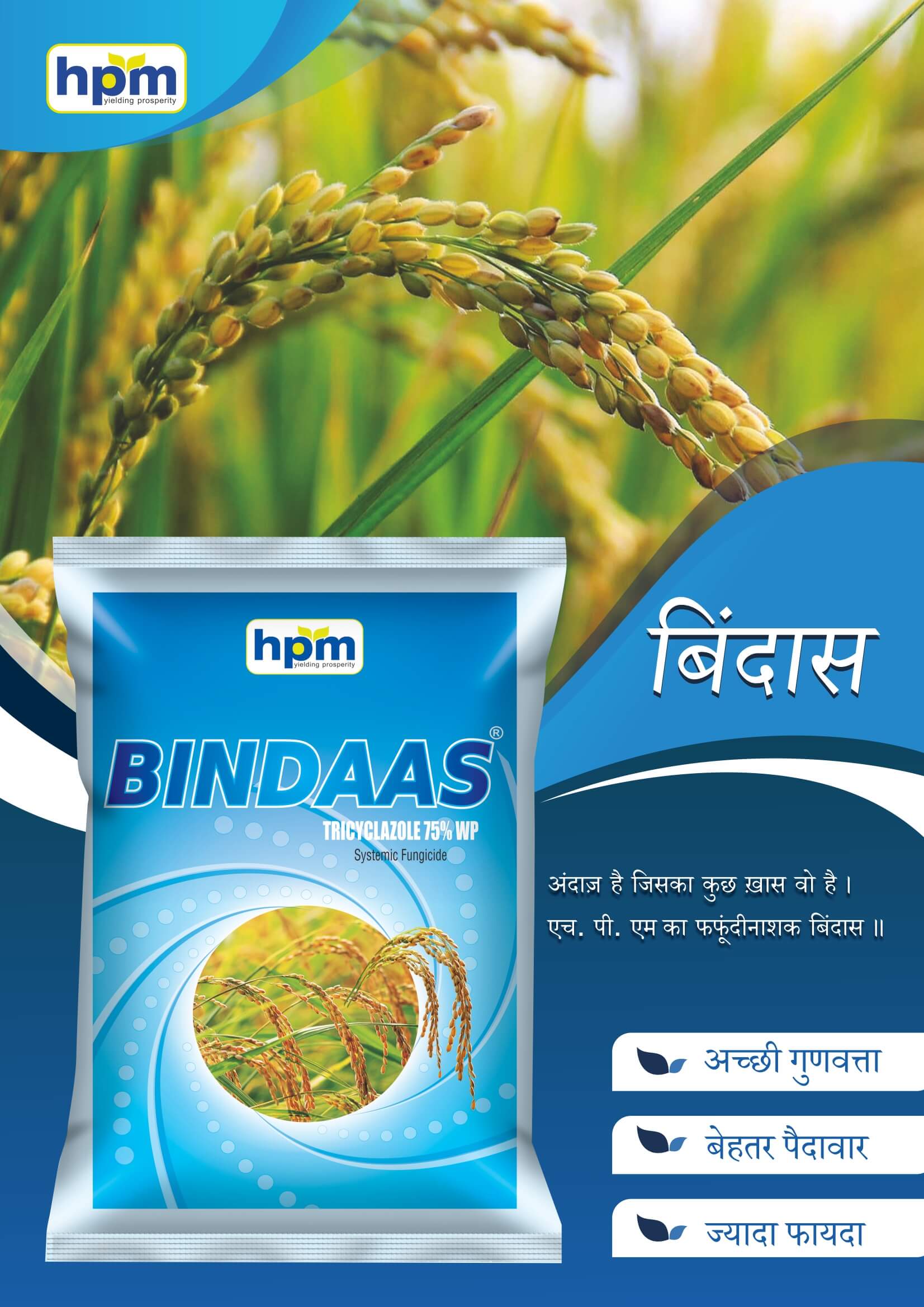 bindass